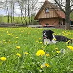 Raj Bešeňová