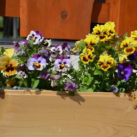 בית נופש Raj *